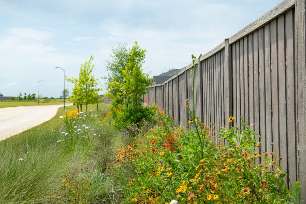 Grand_Prairie_Hockley_0377