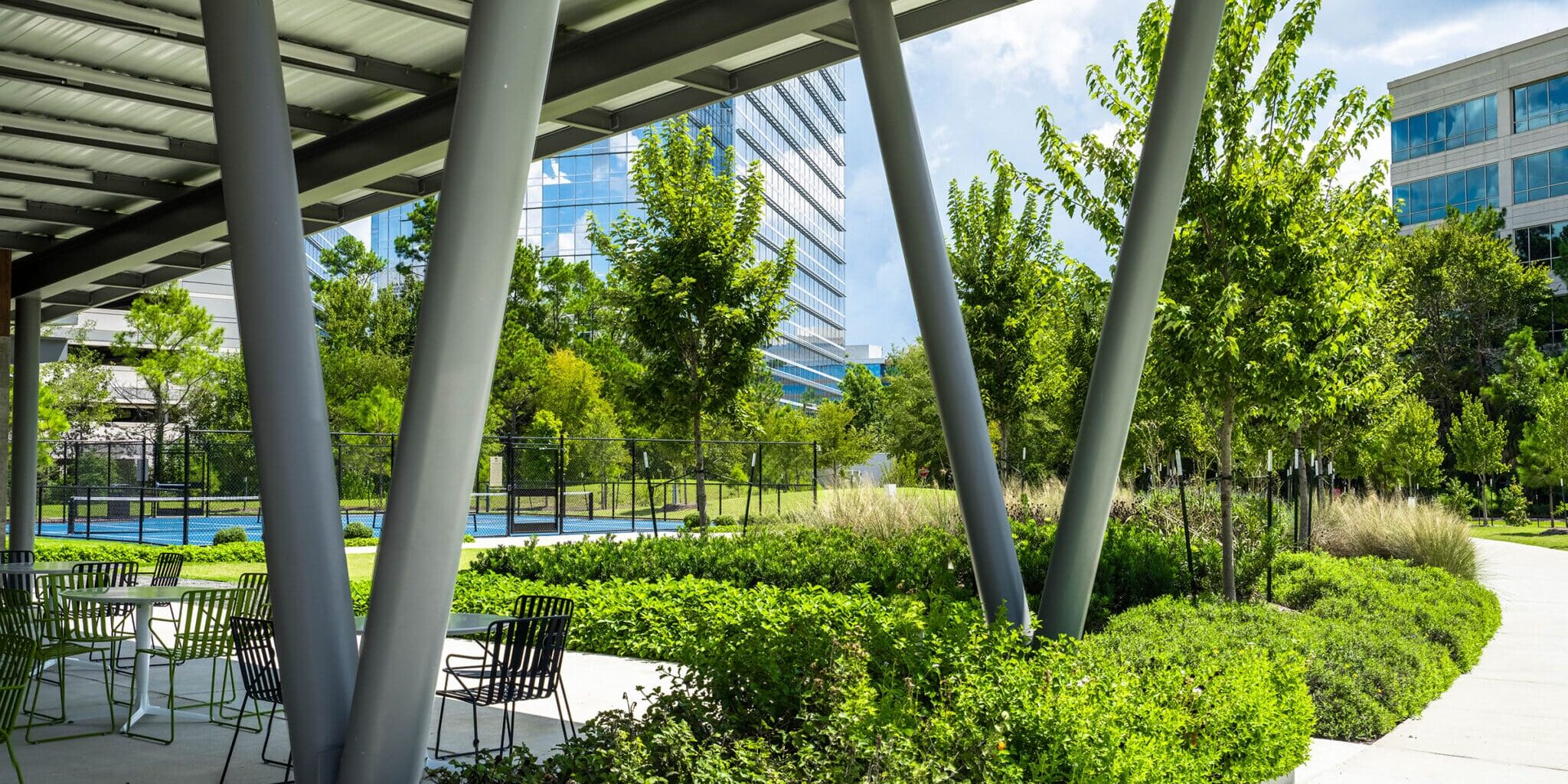 Central Park Woodlands_McCurdy Media 3