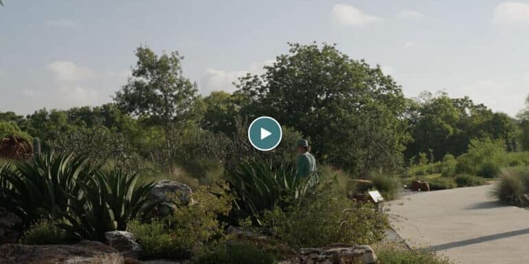 Designing-with-Nature