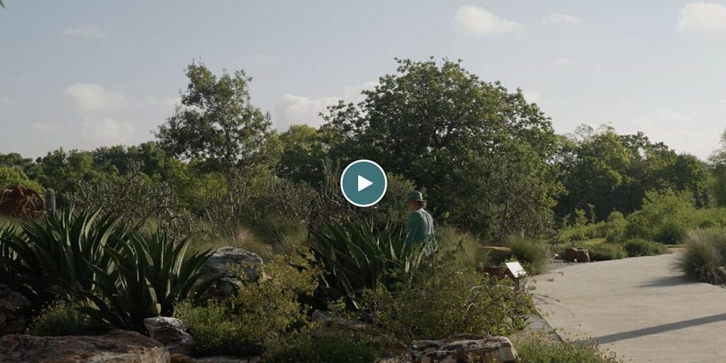 Designing-with-Nature