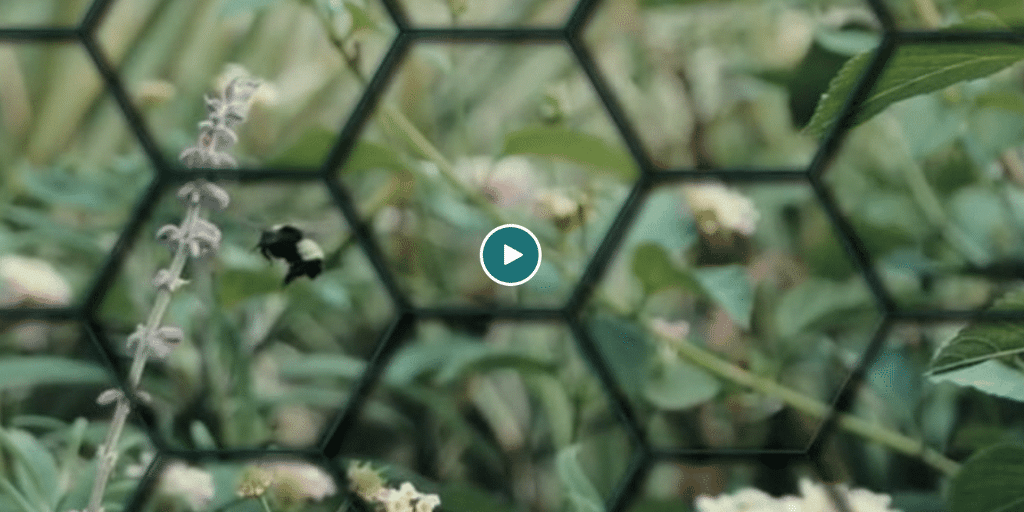 Untitled design (66)